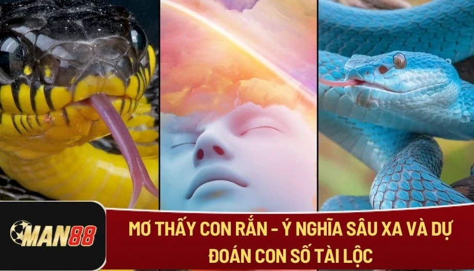MAN88 Mơ Thấy Con Rắn - Ý Nghĩa Sâu Xa Và Dự Đoán Con Số Tài Lộc