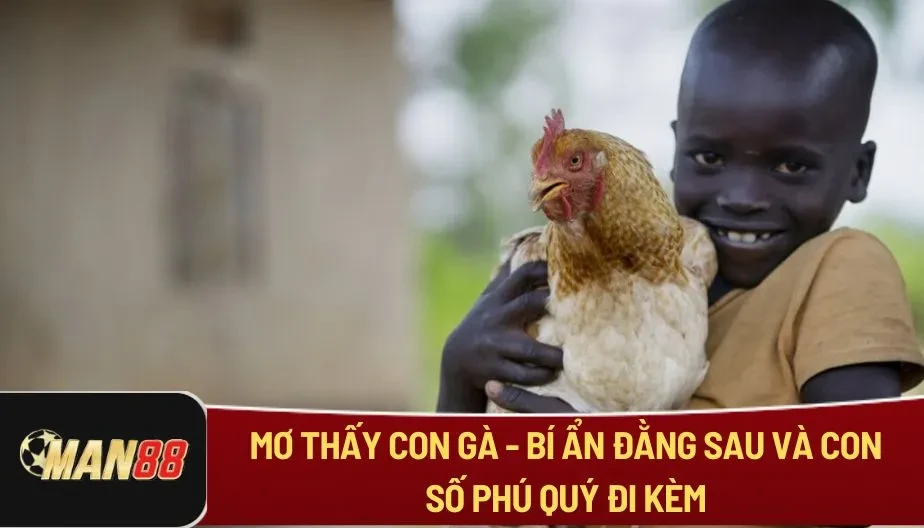 MAN88 Mơ Thấy Con Gà - Bí Ẩn Đằng Sau Và Con Số Phú Quý Đi Kèm